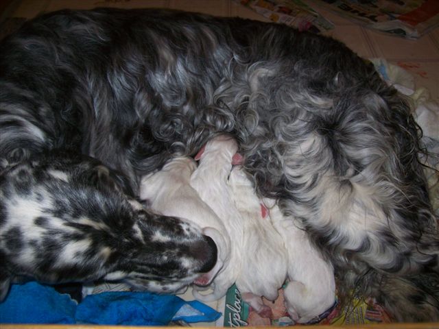 may192009slidexstorm001